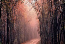 黑白直播免费体育直播-西悉尼流浪者球员心理调节到位，比赛中发挥更稳定