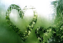 黑白直播免费体育直播-西悉尼流浪者球员心理调节到位，比赛中发挥更稳定