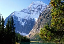 黑白直播网-西悉尼流浪者中场控制加强，争取比赛主动权