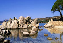 黑白直播nba-西雅图海湾者主帅强调比赛节奏，冲击世俱杯冠军信心足