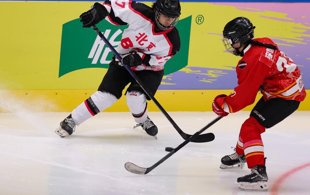 黑白直播体育-奥地利队在冰球比赛中击败对手