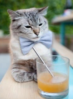 手术刀终现锋芒，福克斯在奥运前夜完成最后一块拼图