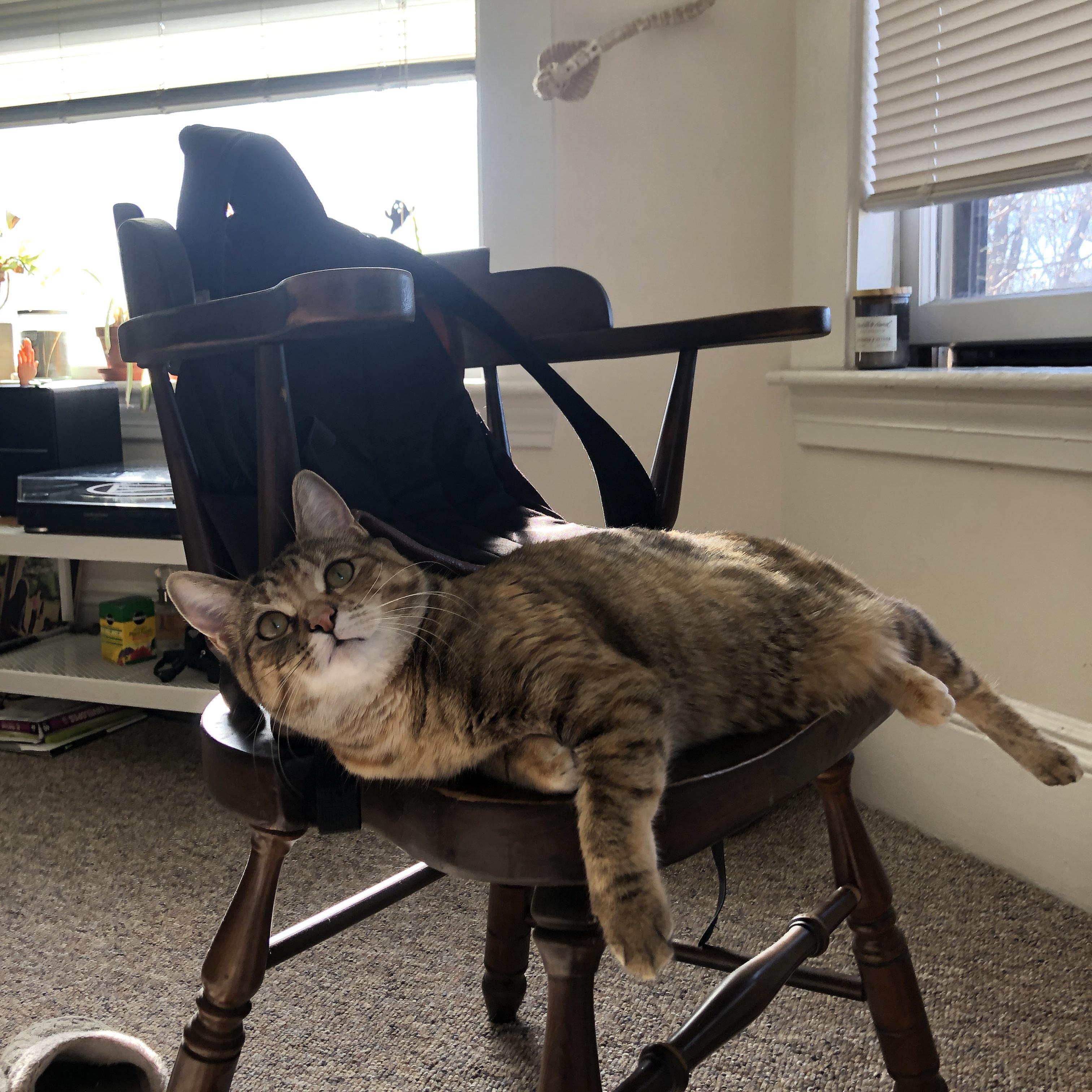 太阳用马刺最擅长的方式击败马刺，霍勒迪在总决赛上演终极进化