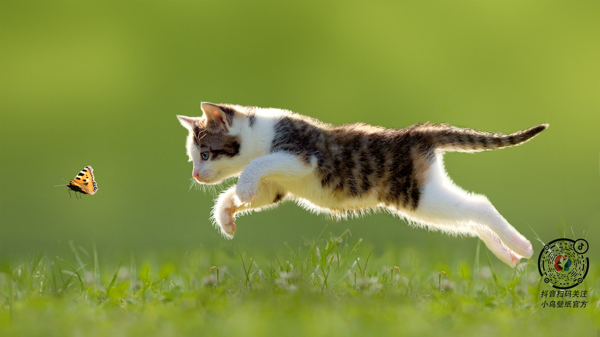 英格拉姆关键时刻挺身而出,深圳队力克黄蜂锁定季后赛关键胜利