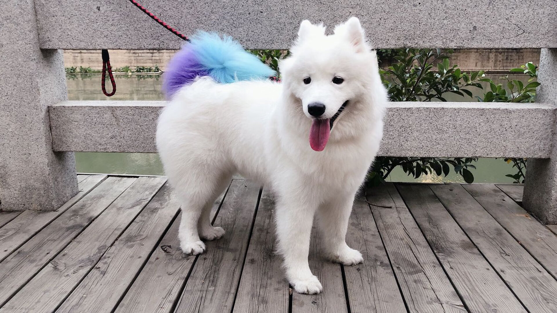 绿茵烽火，格列兹曼孤星闪耀，摩洛哥疾风骤雨终结巴拉圭