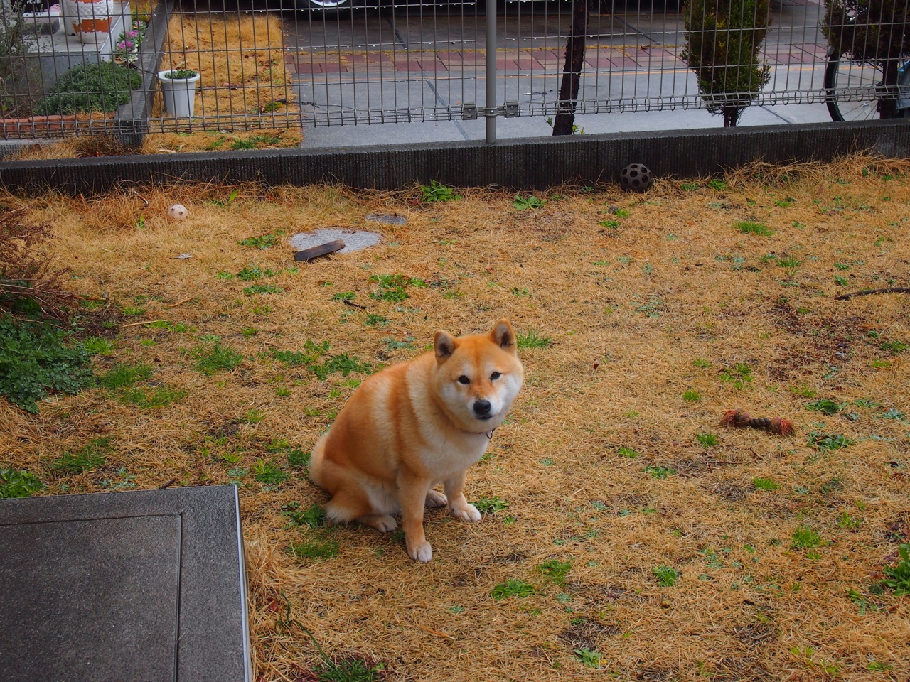 黑白直播nba-冷雨夜的活塞关键先生，霍勒迪如何扼住命运的喉咙？