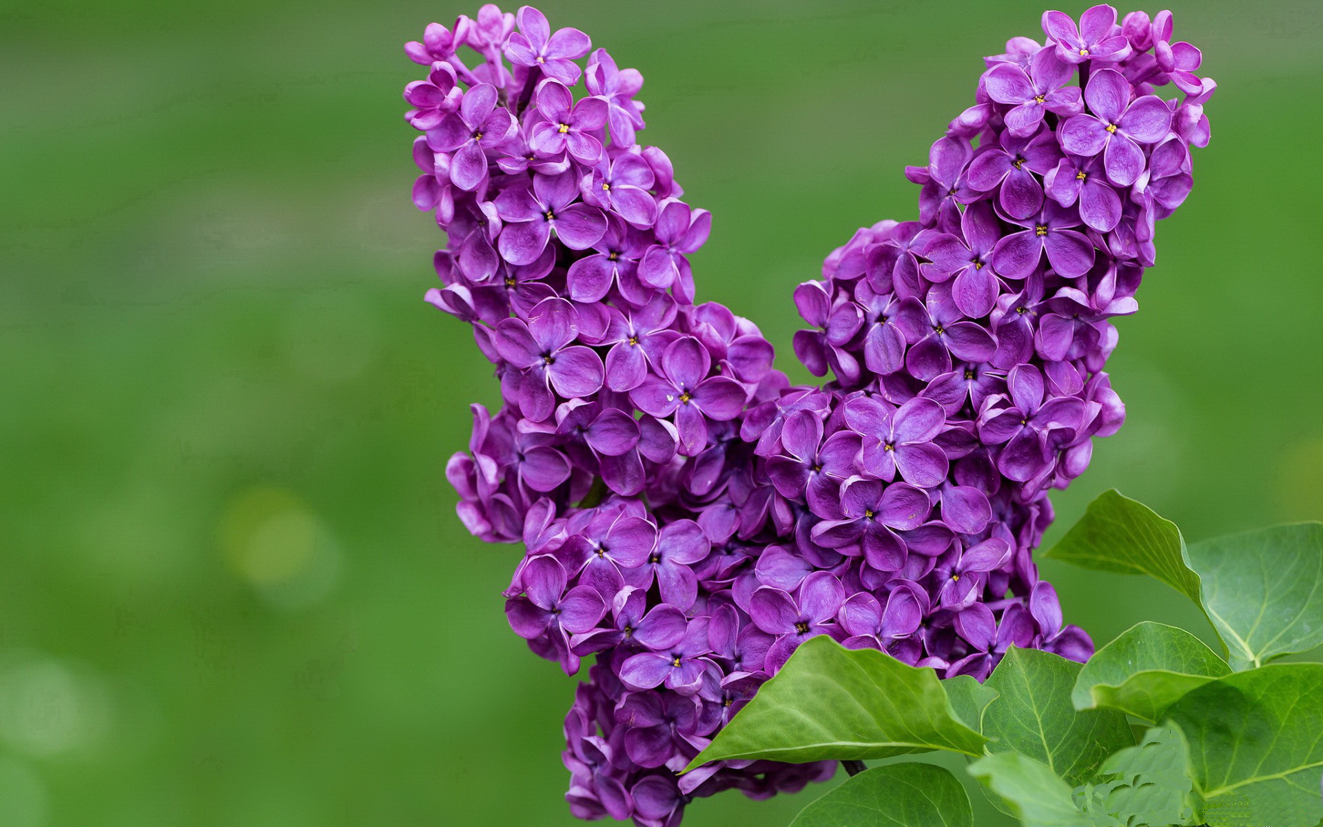 黑白直播在线观看nba-德罗赞单节导演攻势狂潮,快船凭借关键一节击溃新疆队