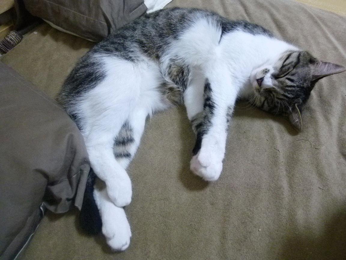 黑白直播体育-骑士淘汰赛过关掘金，贝恩关键时刻尽显关键先生本色