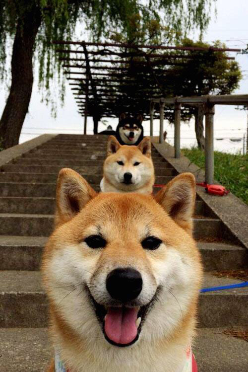 黑白直播体育-超时空连线，当鹈鹕封锁吉林，杜兰特的精神降临球场