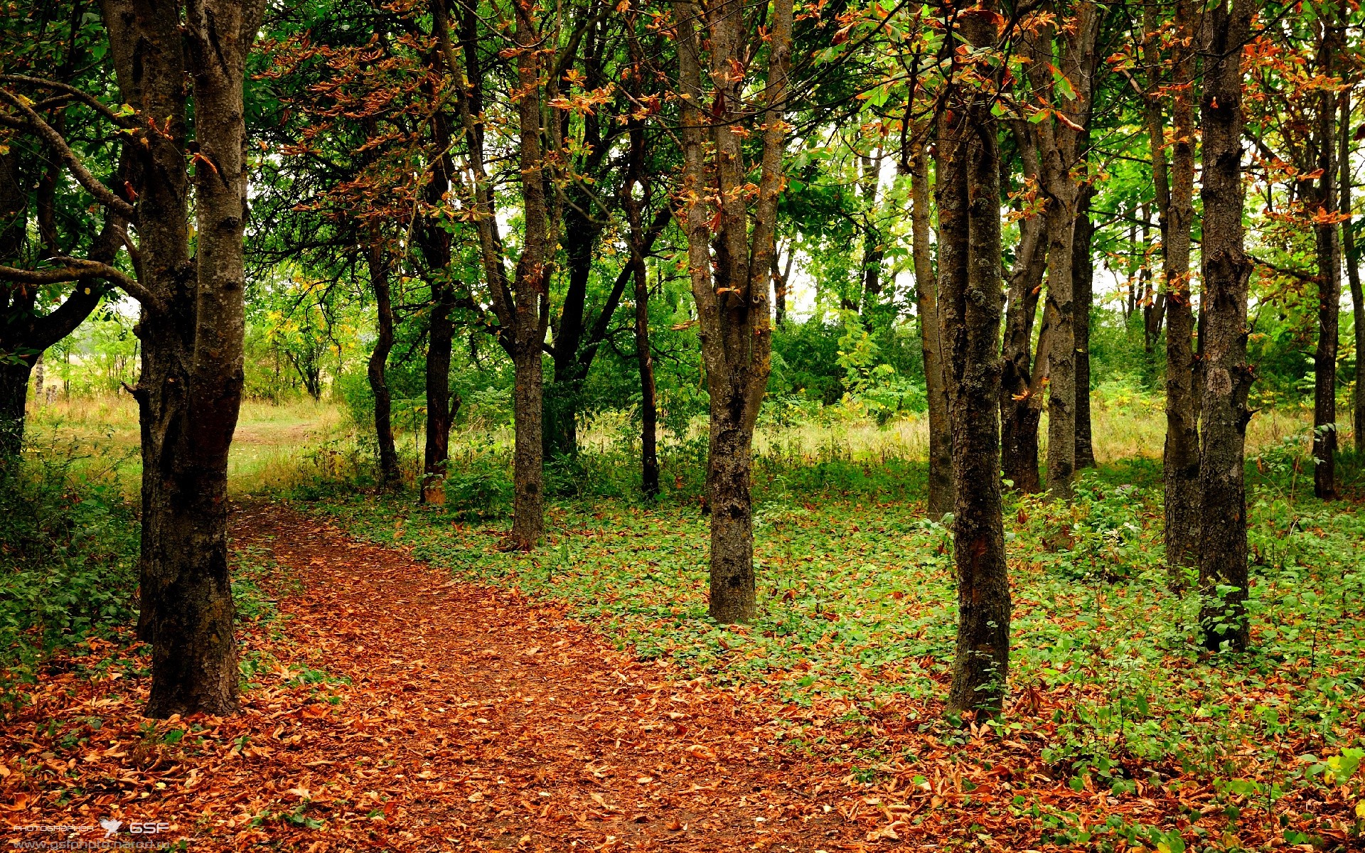 肌肉与智慧的绞杀，爵士铁血军团如何碾过汽车城