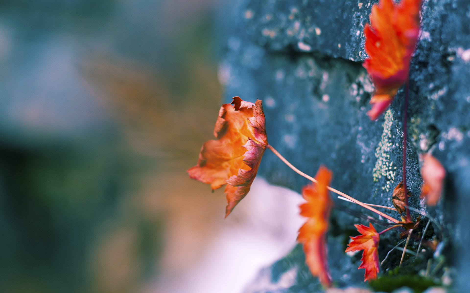 北欧寒流席卷绿茵,当芬兰元素注入西意双城记