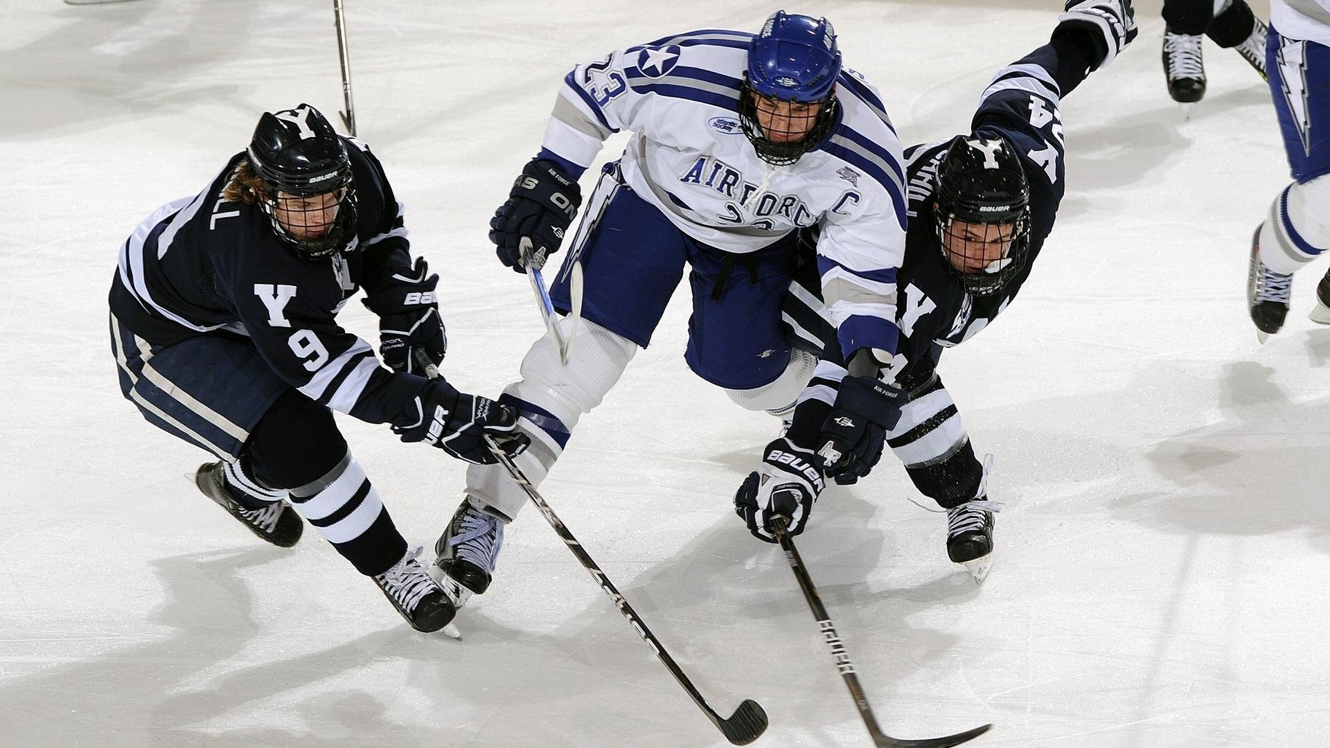 霍勒迪一剑封喉！奇才绝杀夜，他是黄蜂无法破解的终极谜题