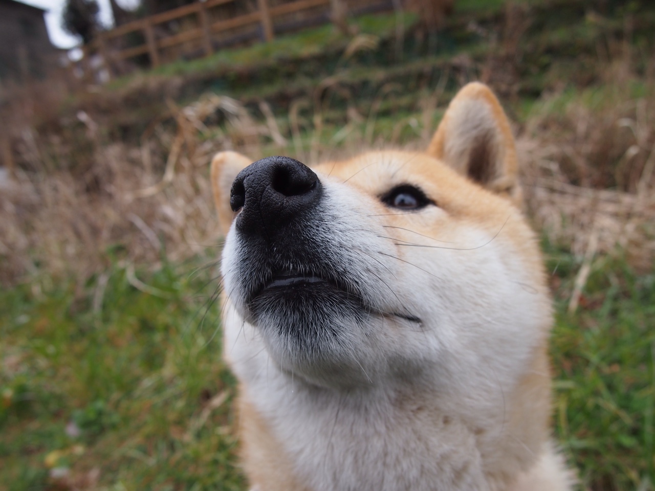 当魔术的新魔法遇见乔治的大心脏，体育世界里的双重奇迹