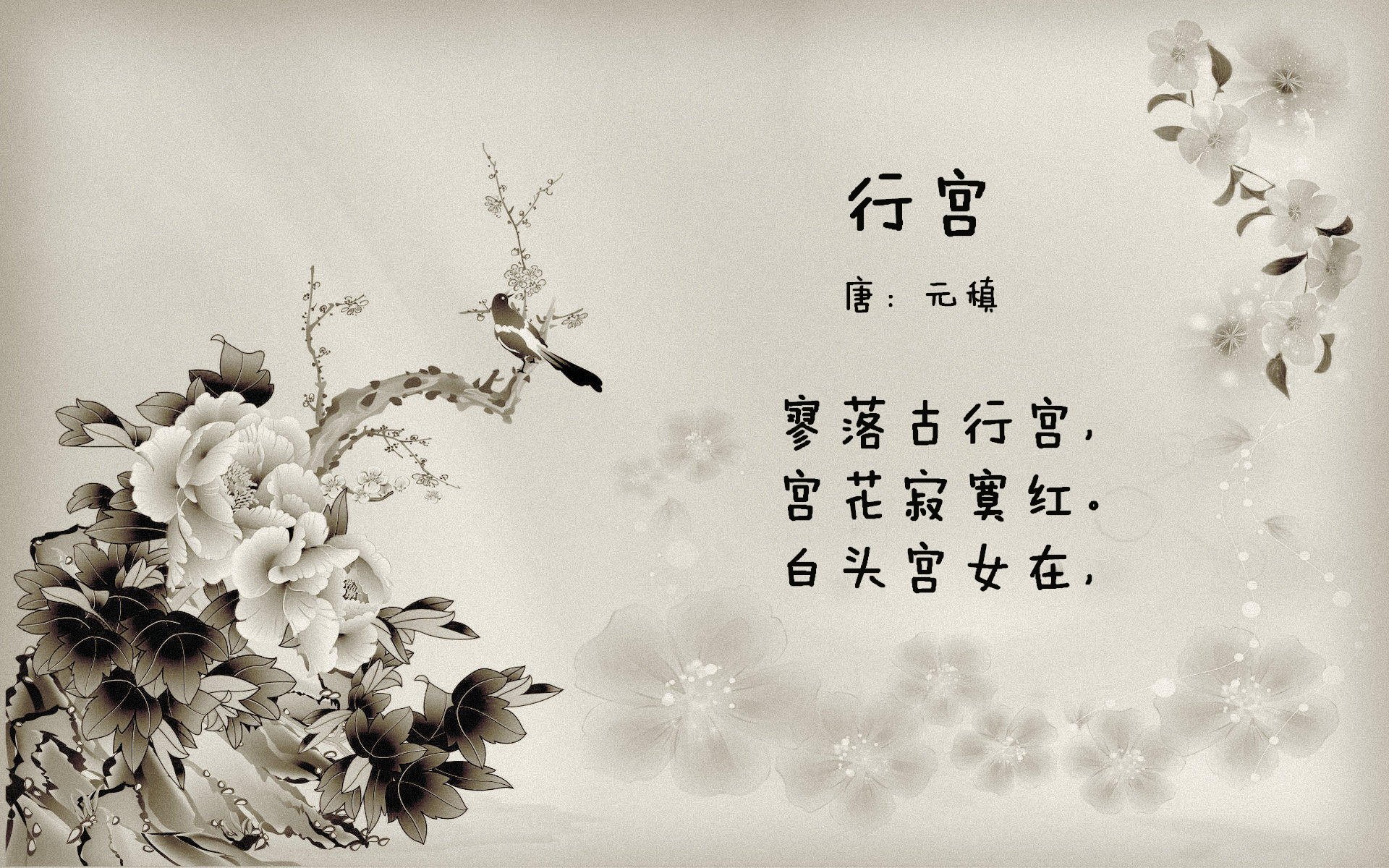 美加墨之夜杜兰特封神,当篮球成为三国共同语言