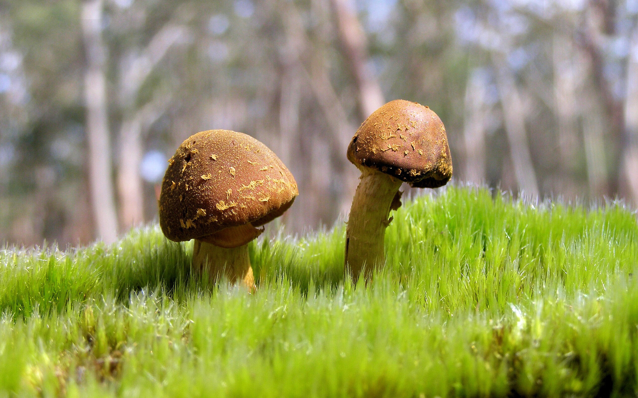 铁锁横江!乔治窒息式防守冻结吉林核心,魔术攻防一体碾压对手