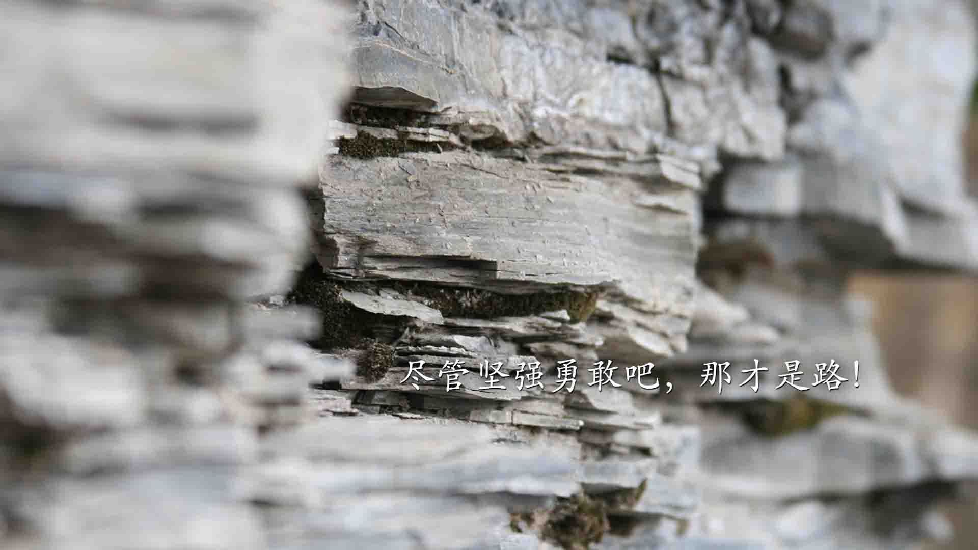 当鹈鹕翱翔于北境之上，一场大胜与一个传奇背影的隔空对话