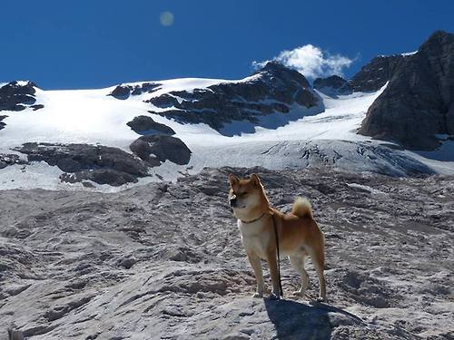 黑白直播在线观看nba-2026世界杯焦点战，加拿大最后时刻绝杀勒沃库森，谱写足球新篇章