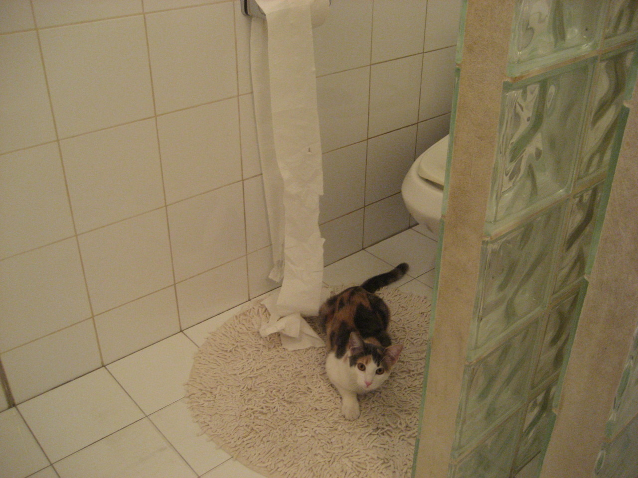 黑白直播体育-火力全开！智利正面击溃几内亚，托尼化身悬念终结者