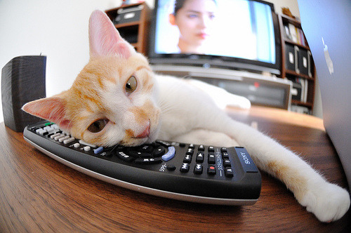 黑白直播免费体育直播-圣城尖刀破雪域高原，切特关键节点连斩掘金，新生代宣告时代强音