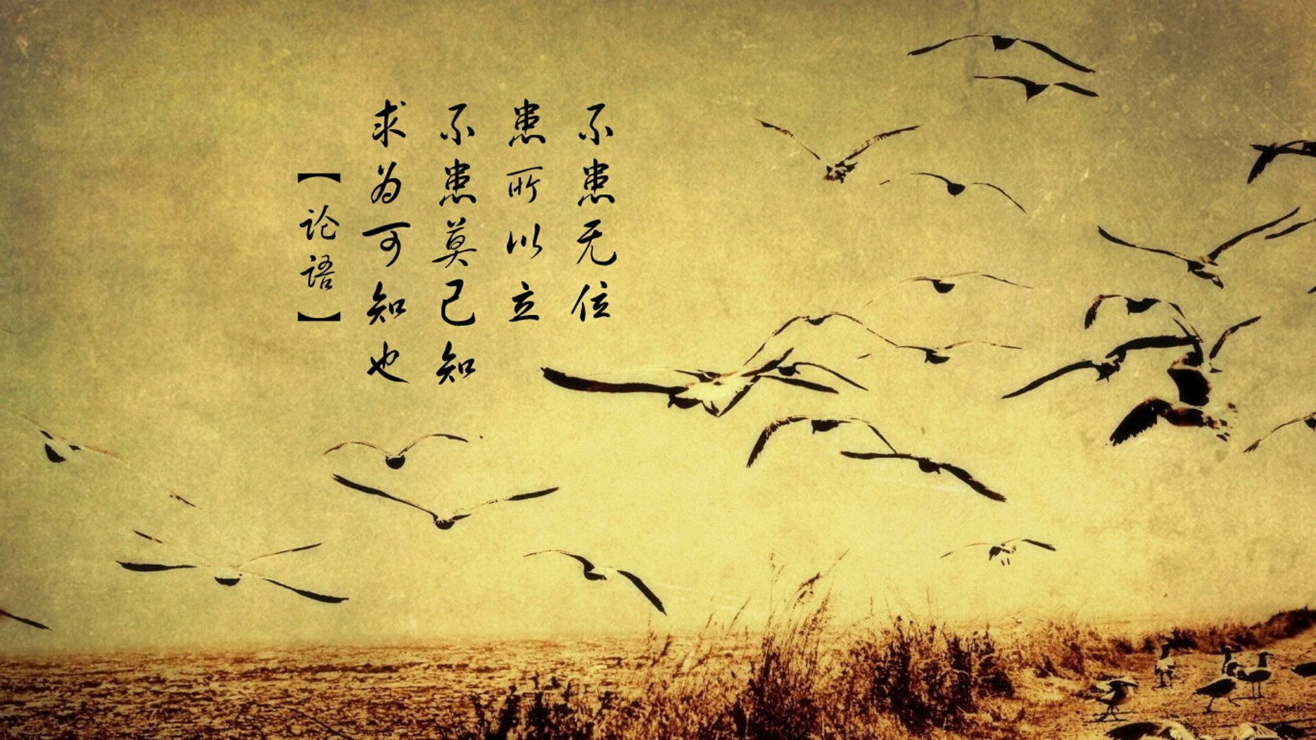 新秩序诞生，奥地利终结巴西霸权，莱万登顶世界排名之战