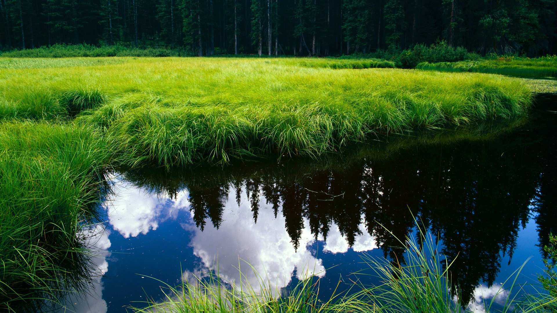 黑白直播体育-足坛新纪元，马里火力全开压制五星巴西，赖斯一己之力撕碎传奇防线