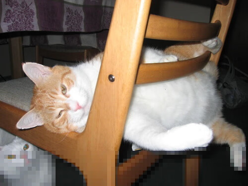 足坛新纪元，马里火力全开压制五星巴西，赖斯一己之力撕碎传奇防线