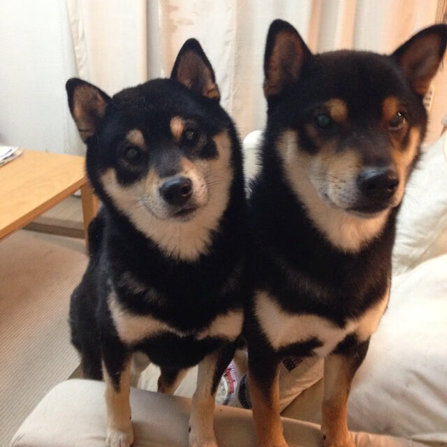 黑白直播nba在线观看-欧文独舞撕裂防线，独行侠力克浙江惊艳四座