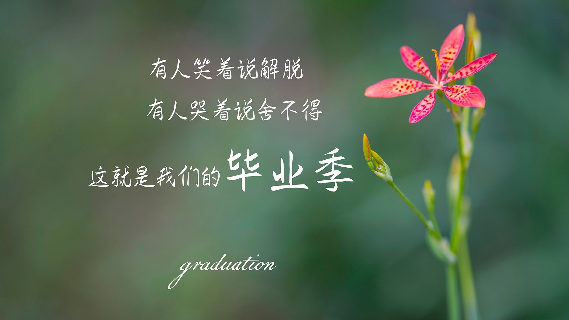 致命一击,布罗佐维奇绝杀挪威,伊拉克震惊2026世界杯A组